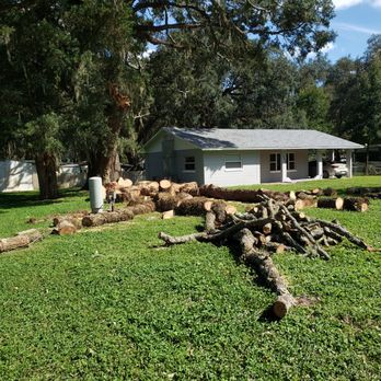 Ike's Tree Service - Tree Services Near Me - Zephyrhills, Florida Ike's Tree Service - Tree Services Near Me - Zephyrhills, Florida