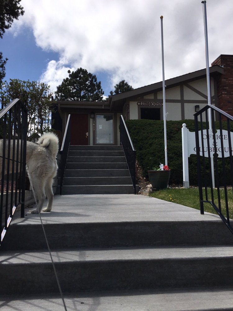 KINGSBOROUGH APARTMENTS Updated September 2024 3817 S Village Rd