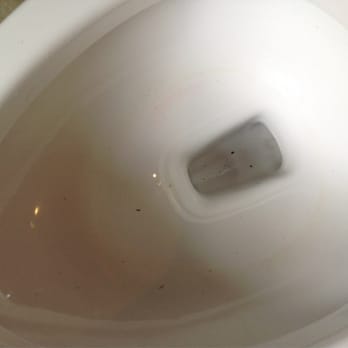 The Home Depot - Our "new" out-of-the-box toilet from HD! - Hardware Stores Near Me - Placerville, California The Home Depot - Our "new" out-of-the-box toilet from HD! - Hardware Stores Near Me - Placerville, California