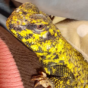 Dubey's Pet World - Pet Stores Near Me - Graham, North Carolina