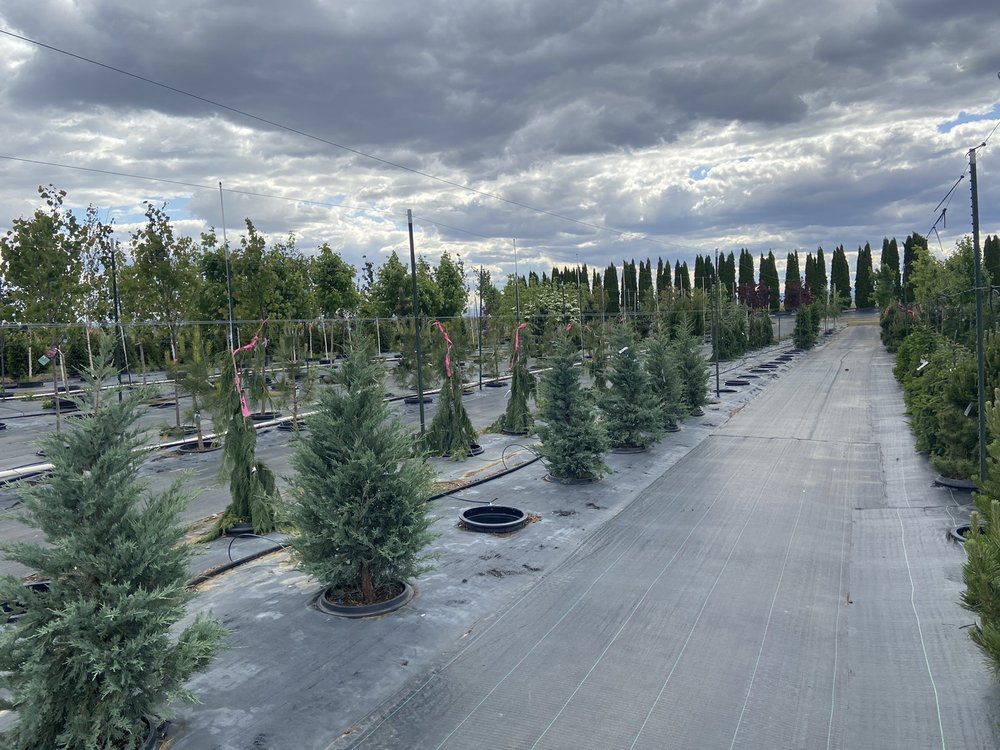 EMERALD DESERT NURSERY Updated October 2024 47 Photos 7499 Road