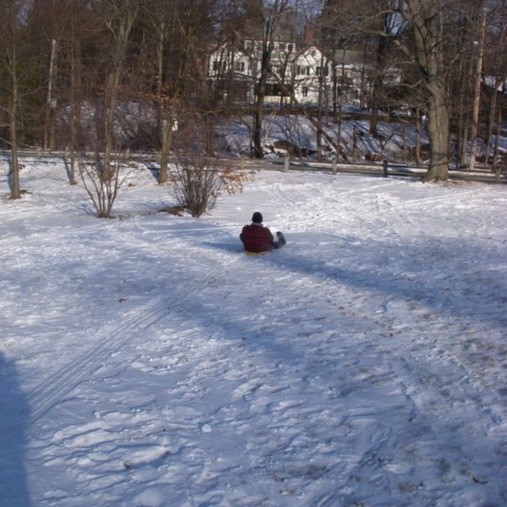 Sleddin down the hill at Larz Anderson Park Sleddin down the hill at Larz Anderson Park