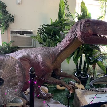Mr. Rex’s Dinosaur Adventure - Children's Museums Near Me - Cabazon, California
