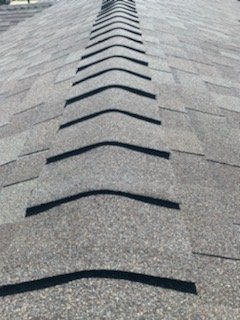 Slide of Alpha Line Developers