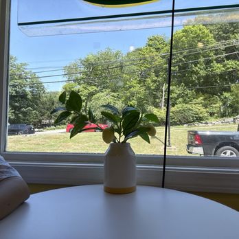 Del's Lemonade of Westerly - Desserts Near Me - Westerly, Rhode Island Del's Lemonade of Westerly - Desserts Near Me - Westerly, Rhode Island