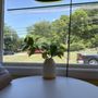 Photo of Del's Lemonade of Westerly