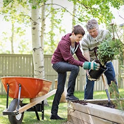 Bradley Green Tree and Garden Services