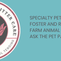 Healing Hands Critter Care