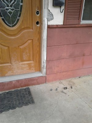 Safeguard Properties