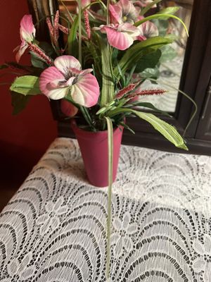 Pig Hill Inn by null