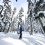 Photo of Mt. Hood Meadows