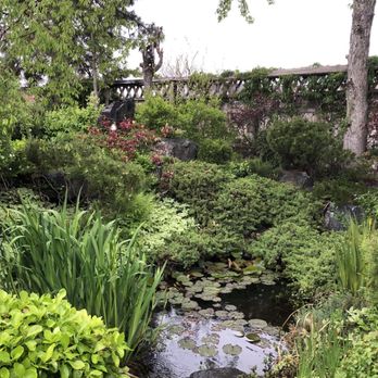 Domo - Backyard patio gardens - Japanese Near Me - Denver, Colorado Domo - Backyard patio gardens - Japanese Near Me - Denver, Colorado