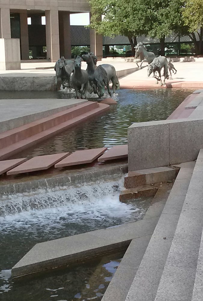STF Dallas Williams Square Logo