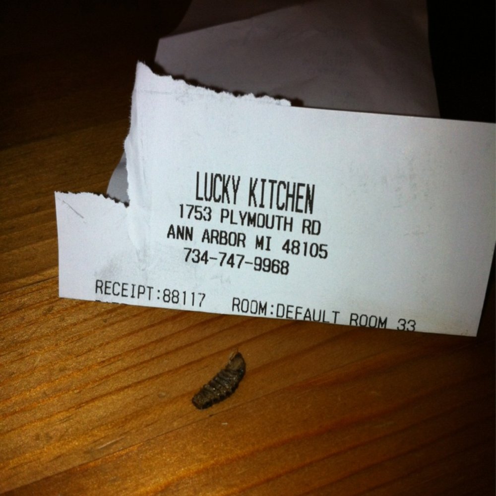 Lucky Kitchen - Their food really bugged me. - Chinese Near Me - Ann Arbor, Michigan Lucky Kitchen - Their food really bugged me. - Chinese Near Me - Ann Arbor, Michigan