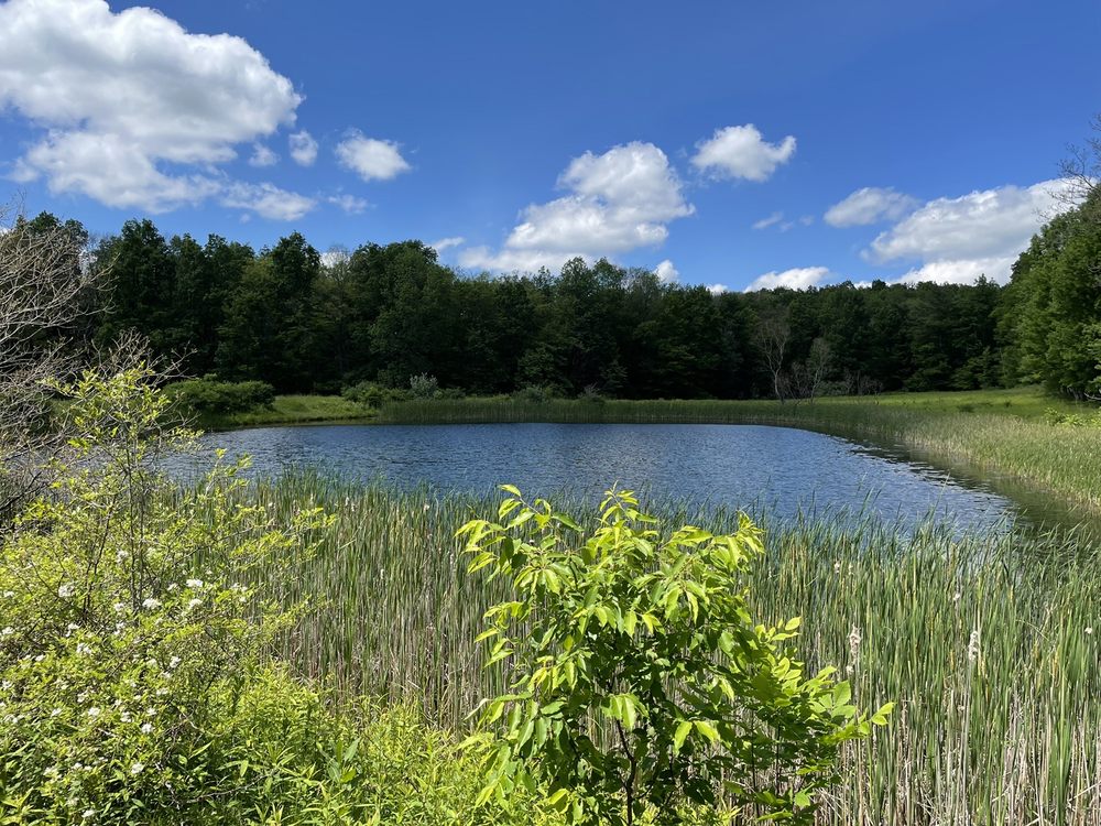 WESLEY HILL NATURE PRESERVE 40 Photos 60606280 Gulick Rd, Naples
