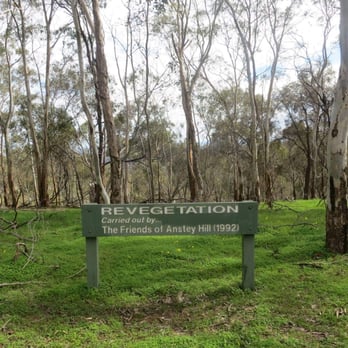 Anstey Hill - Hiking Near Me - Vista, SA