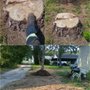 Photo of Scott's Land Service