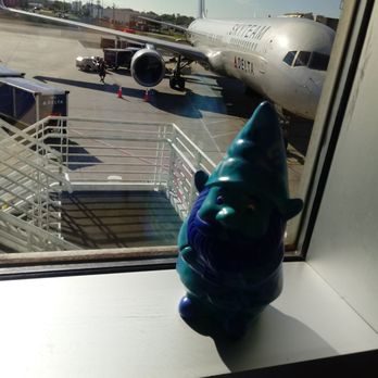Delta Air Lines - Airlines Near Me - Charlotte, North Carolina
