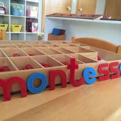 Young Scholars Montessori School