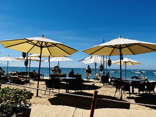 La Palapa Restaurant by null