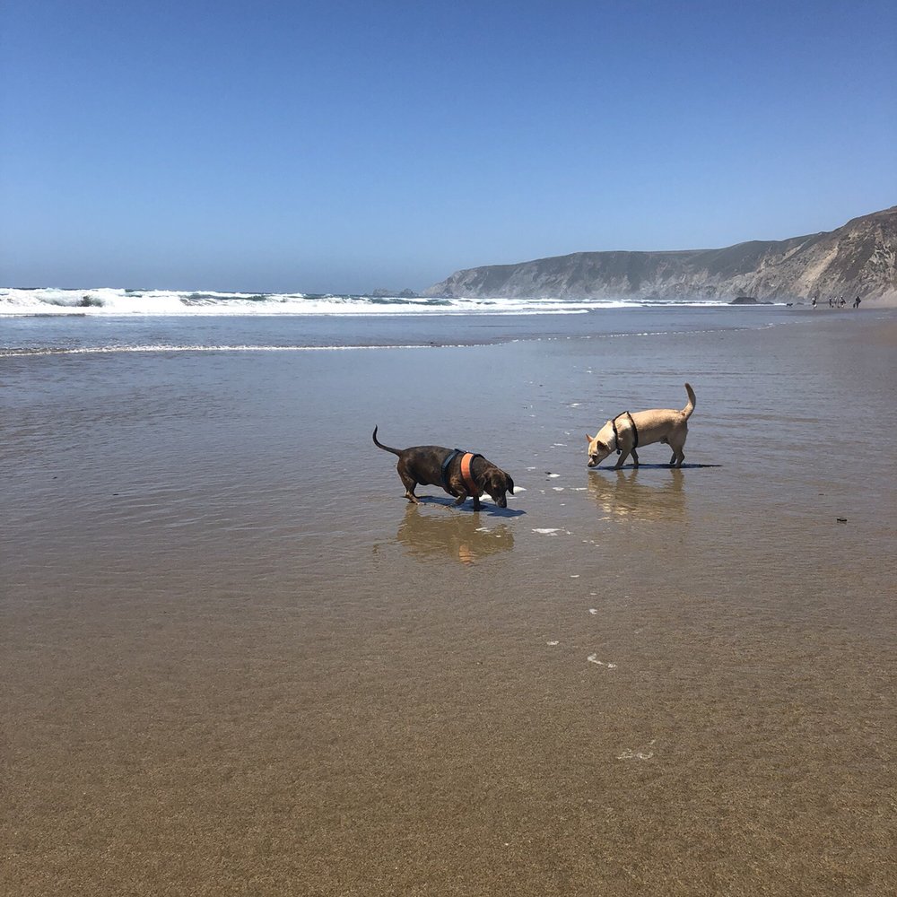 Kehoe Beach - Beaches Near Me - Tomales Bay, California