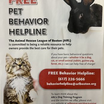 Boston Veterinary Care - Boston animal rescue league offers a free pet behavior, help line! - Veterinarians Near Me - Boston, Massachusetts Boston Veterinary Care - Boston animal rescue league offers a free pet behavior, help line! - Veterinarians Near Me - Boston, Massachusetts