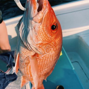 Hot Spots Charters - Red snapper - Fishing Near Me - Pensacola Beach, Florida Hot Spots Charters - Red snapper - Fishing Near Me - Pensacola Beach, Florida