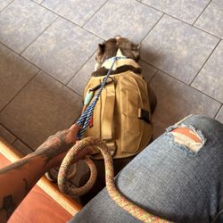 Central Veterinary Hospital - Clean waiting room, got us into the exam room quickly- even without an appt.