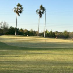 White Heron Golf Club - Course plays well fun afternoon.