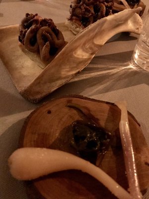 Honey Badger by null Honey Badger by null