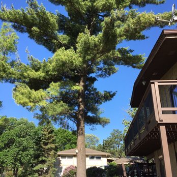 Joey D's Tree Service - Tree Services Near Me - Andover, Minnesota Joey D's Tree Service - Tree Services Near Me - Andover, Minnesota