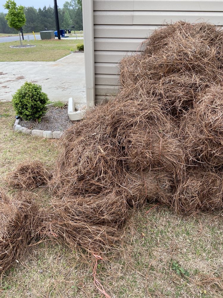 WEST COBB PINE STRAW 404 Villa RIca Way, Marietta, GA Yelp