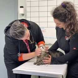Martin Veterinary Hospital