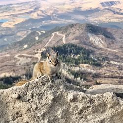 Grand Mesa National Forest