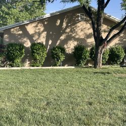 SOS Lawn Care Plus - This is before Aldo was hired.