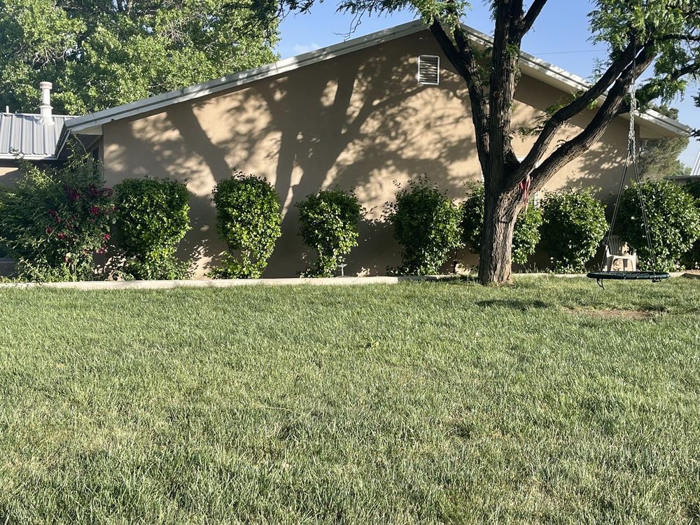 SOS Lawn Care Plus - tree service in Albuquerque, NM