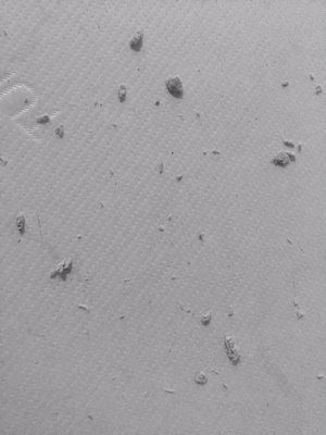 Parachute Home by null