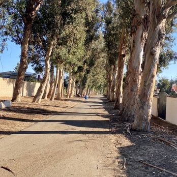 Charter Oak Park - Parks Near Me - Camarillo, California