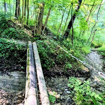 Pine Lane Trailhead - Log Bridge on side path off Buckeye Trail - Parks Near Me - Peninsula, Ohio Pine Lane Trailhead - Log Bridge on side path off Buckeye Trail - Parks Near Me - Peninsula, Ohio