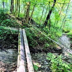 Pine Lane Trailhead