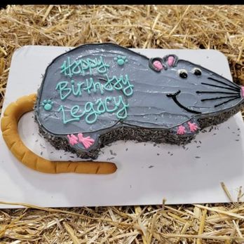 Happy Dog Barkery - Pet Stores Near Me - Downers Grove, Illinois Happy Dog Barkery - Pet Stores Near Me - Downers Grove, Illinois