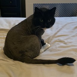 Bristol is so happy with her new cut. Bristol is so happy with her new cut.