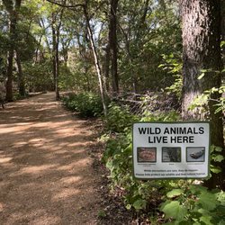 River Legacy Nature School - Paths around Nature Center