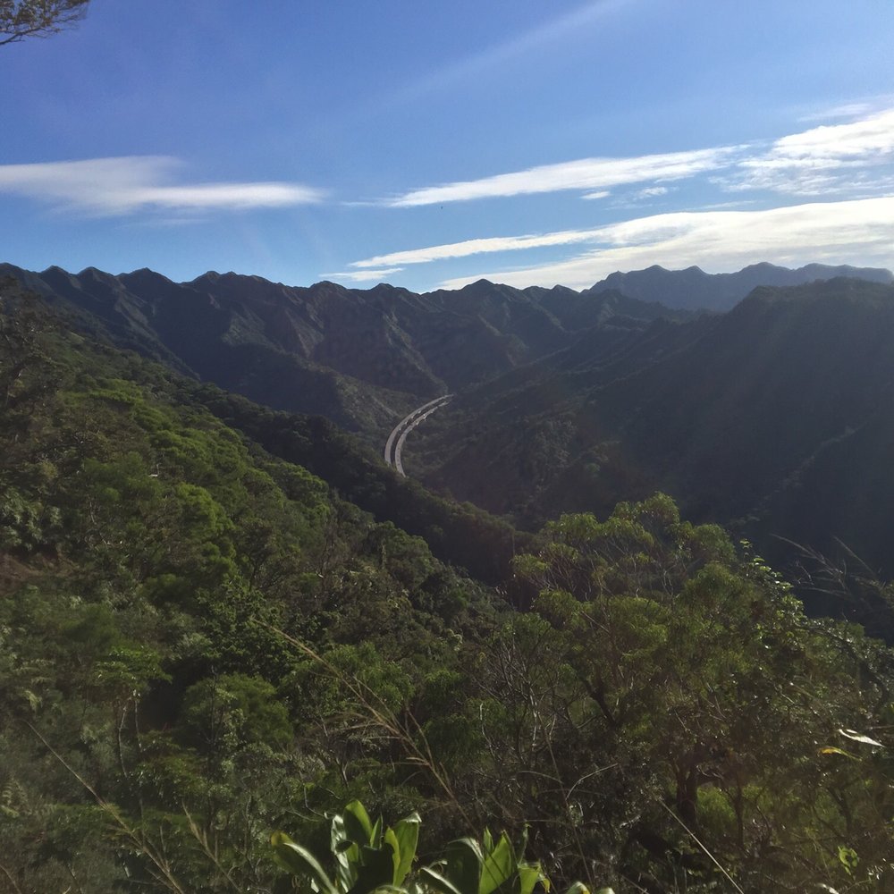 Aiea Loop Trail - Hiking Near Me - Aiea, Hawaii