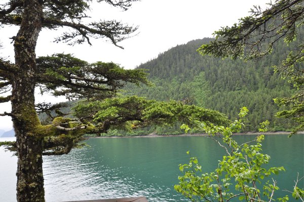 Orca Island Cabins by null