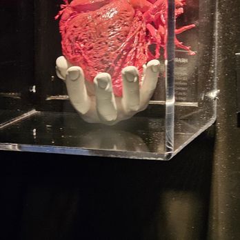Real Bodies - Museums Near Me - Las Vegas, Nevada Real Bodies - Museums Near Me - Las Vegas, Nevada