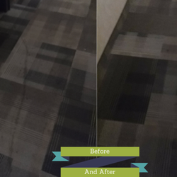 Fresh and Clean Carpet Cleaning - Before and After ! Carpet cleaning