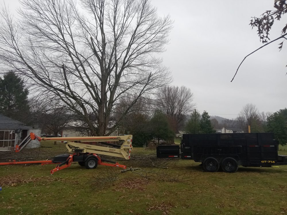 Marty's Tree Services - tree service in Charleston, WV