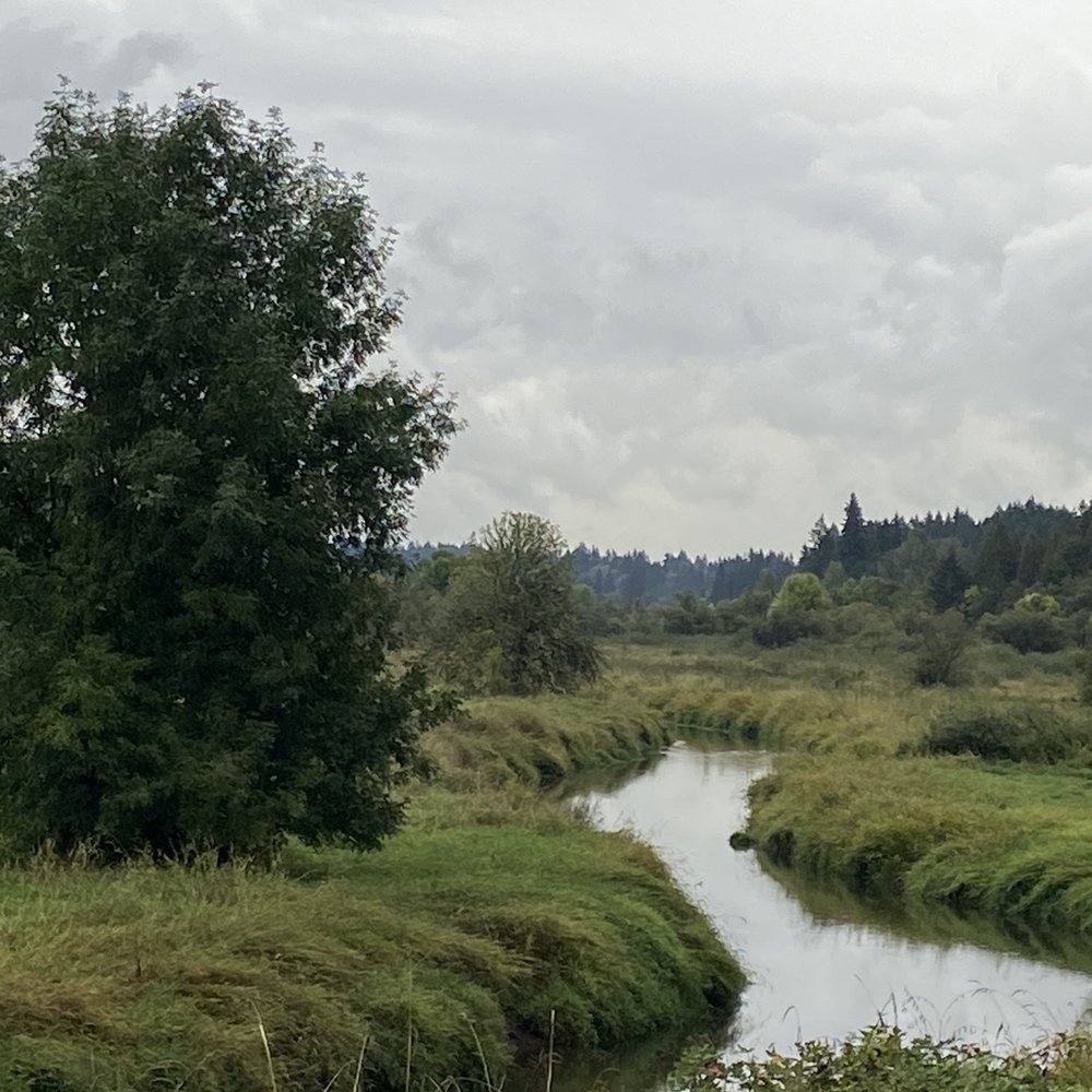 Salmon Creek Greenway Trail - Parks Near Me - Vancouver, Washington