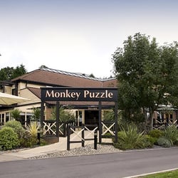 Monkey Puzzle - Beefeater Grill